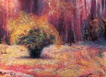 Золотой куст